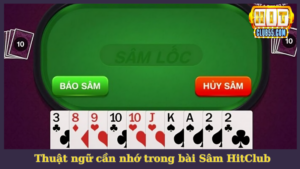 Các thuật ngữ quan trọng trong Sâm HitClub