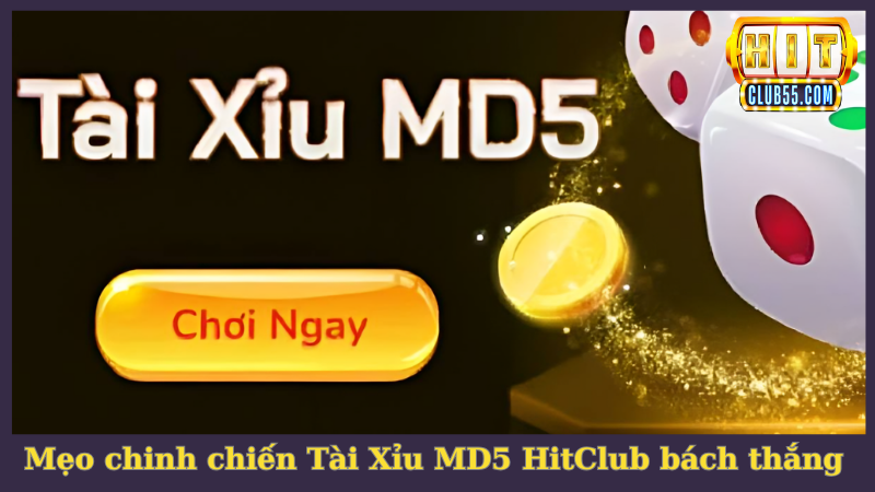 Mẹo chinh chiến Tài Xỉu MD5 bách thắng