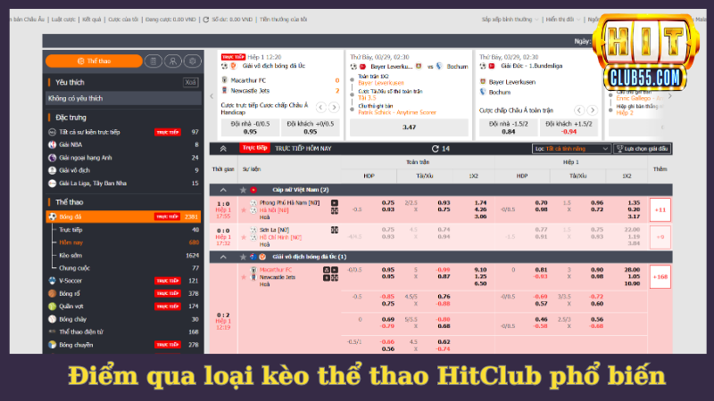 Một số loại kèo thể thao HitClub được ưa chuộng