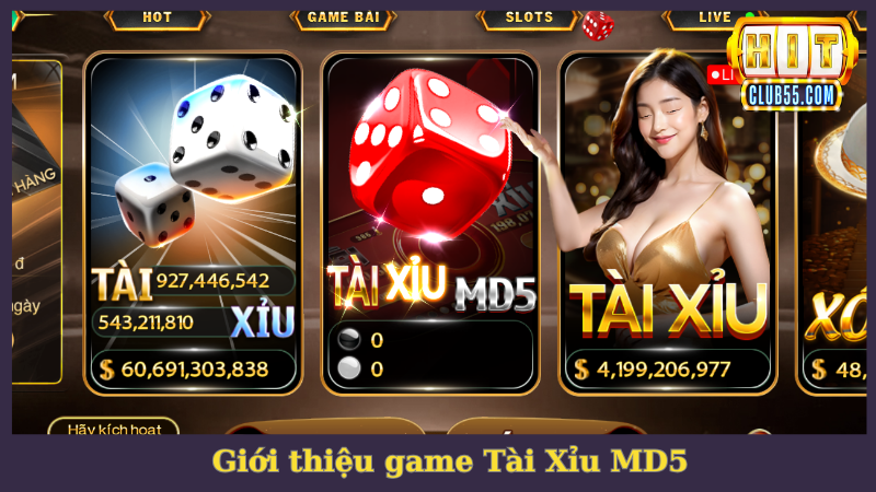 Tài Xỉu MD5 HitClub và những điểm thú vị cần biết